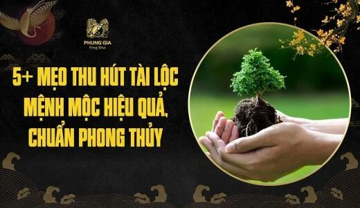 5+ mẹo thu hút tài lộc mệnh Mộc hiệu quả, chuẩn phong thủy